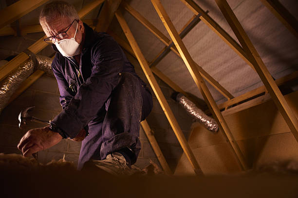 Best Fiberglass Insulation in Grant City, MO